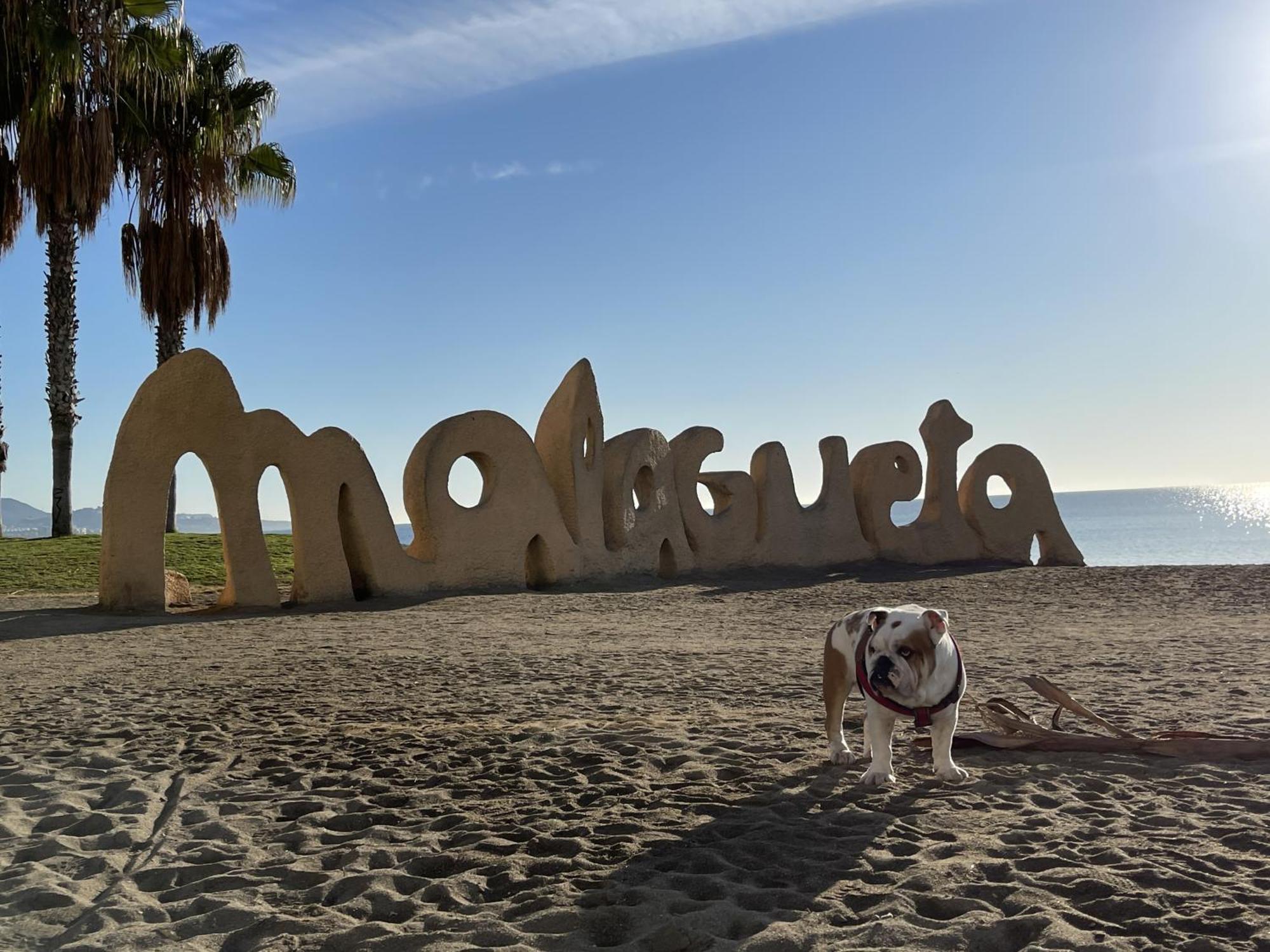 Apto Boutique En La Malagueta Malaga Ngoại thất bức ảnh